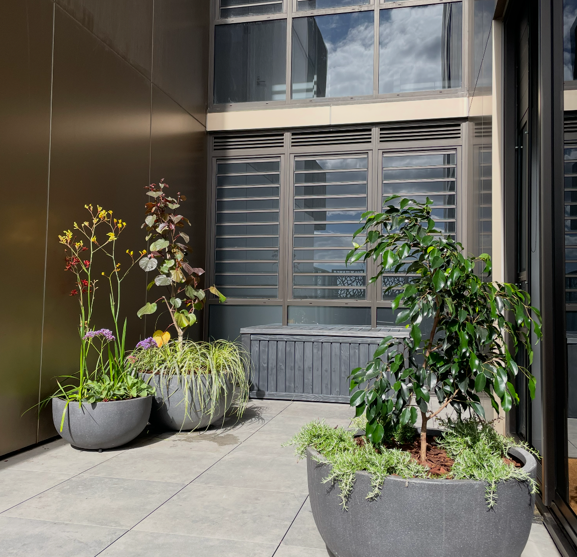 Lush balcony garden after design and planting