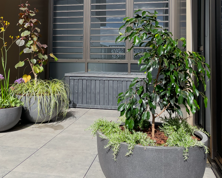 Balcony garden design service